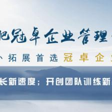 合肥冠卓企业管理咨询